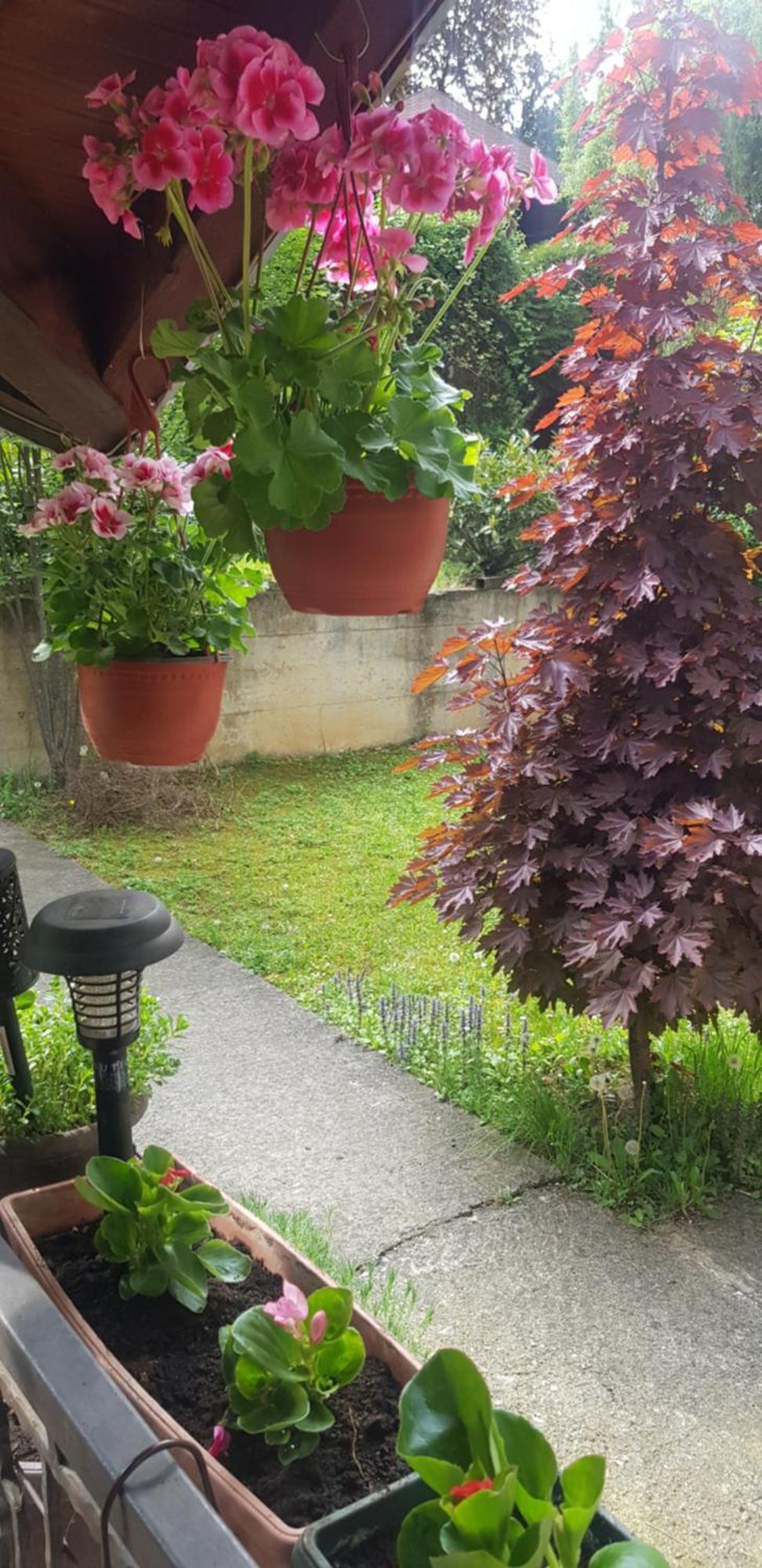 Apartmani V&F Vrnjačka Banja 외부 사진